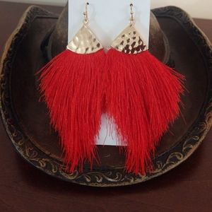 Brand New Tassel Earrings